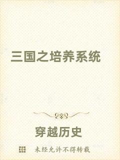 三國之培養(yǎng)系統(tǒng)
