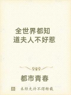 全世界都知道夫人不好惹