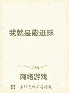 我就是能進球