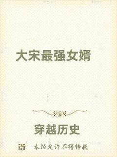 大宋最強女婿