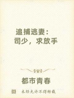 追捕逃妻：司少，求放手