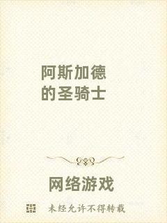 阿斯加德的圣騎士