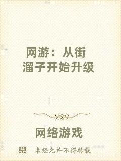 網(wǎng)游：從街溜子開始升級(jí)