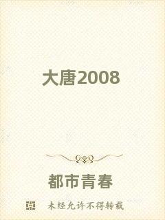 大唐2008