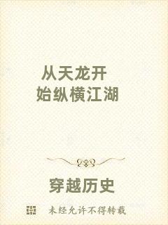 從天龍開始縱橫江湖
