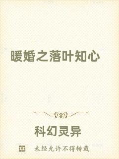 暖婚之落葉知心
