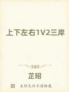 上下左右1V2三岸