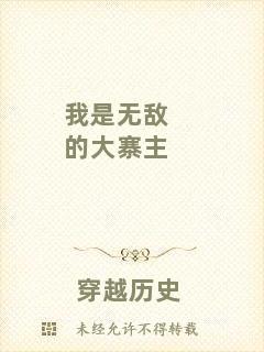 我是無敵的大寨主