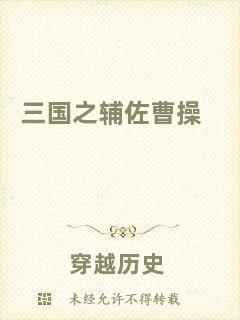 三國之輔佐曹操