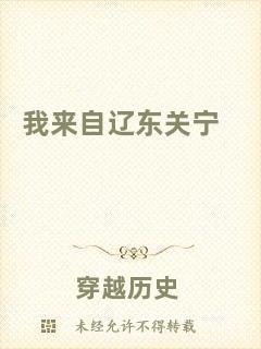 我來自遼東關寧