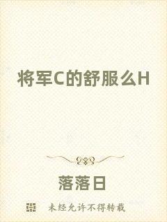 將軍C的舒服么H