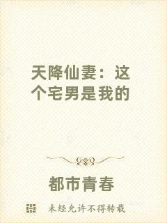 天降仙妻：這個宅男是我的