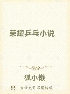 榮耀乒乓小說