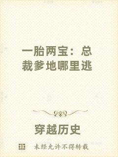 一胎兩寶：總裁爹地哪里逃