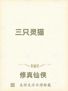 三只靈貓