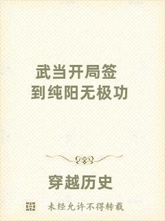 武當開局簽到純陽無極功