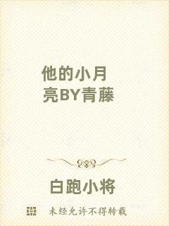 他的小月亮BY青藤