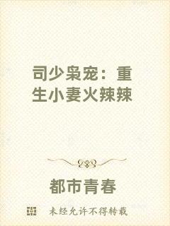 司少梟寵：重生小妻火辣辣