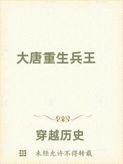 大唐重生兵王