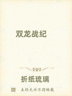 雙龍戰(zhàn)紀(jì)
