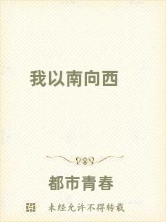 我以南向西