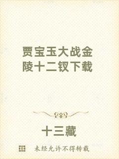 賈寶玉大戰(zhàn)金陵十二釵下載