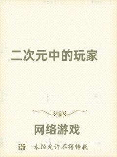 二次元中的玩家