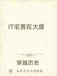 IT宅男在大唐