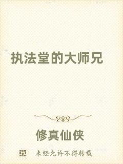 執法堂的大師兄