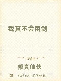 我真不會(huì)用劍