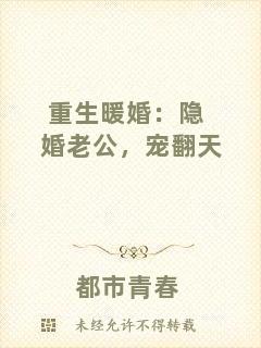 重生暖婚：隱婚老公，寵翻天