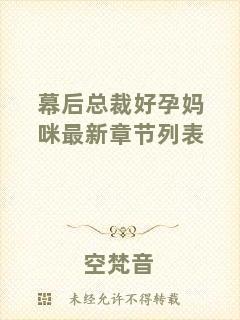 幕后總裁好孕媽咪最新章節(jié)列表