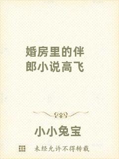 婚房里的伴郎小說高飛