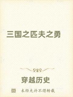 三國之匹夫之勇
