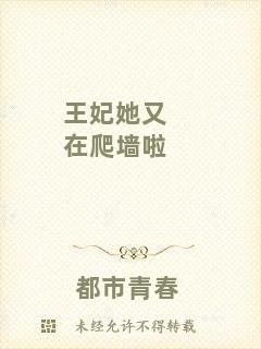 王妃她又在爬墻啦