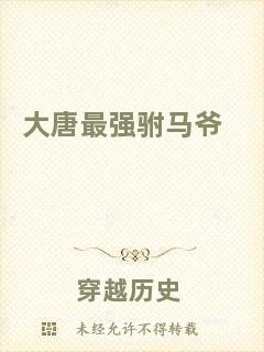 大唐最強(qiáng)駙馬爺